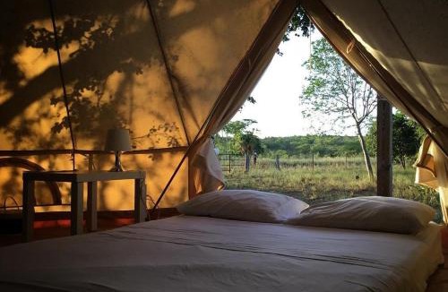 Monte Grande Other | Pitahaya Glamping