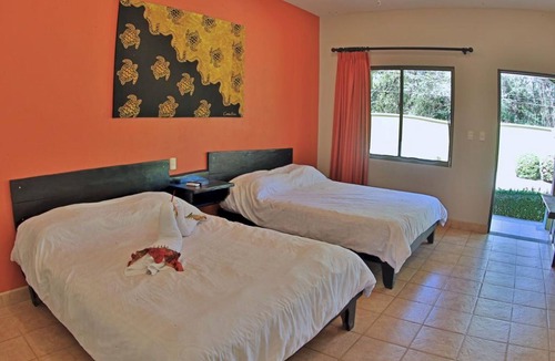 Potrero Hotel | Pitaya Lodge