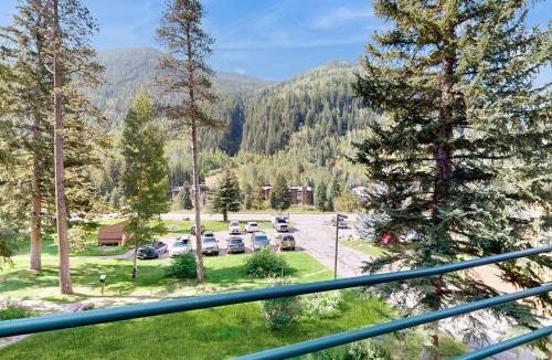 Vail Apartment | Pitkin Creek Park 3