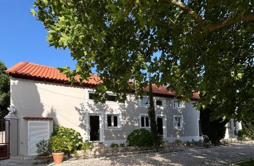 Cadaval Apartment | PiuPiuStays