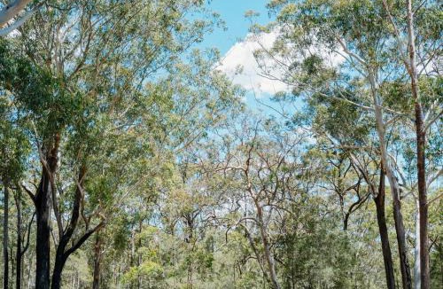 Falls Creek House | PKs Eighty Eight