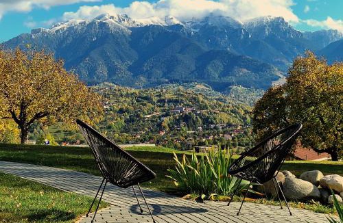 Bran Cabin | Plai din Bran