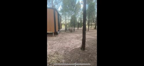 Bohena Creek House | plain Bush