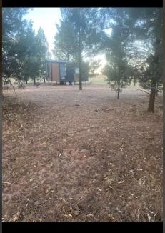 Bohena Creek House | plain Bush