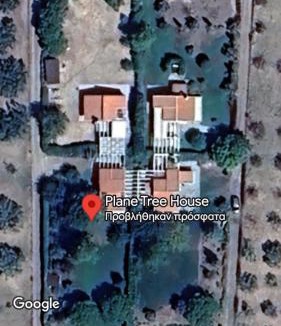 Dhikella Apartment | Plane Tree House