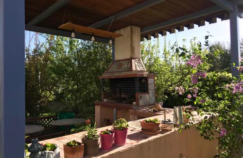 Dhikella Apartment | Plane Tree House