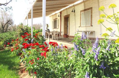 Casarano House | Planifolia