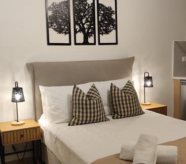 Spilion Apartment | Platanos View Studio