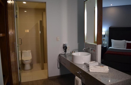 Downtown Queretaro Hotel | Plaza Camelinas Hotel