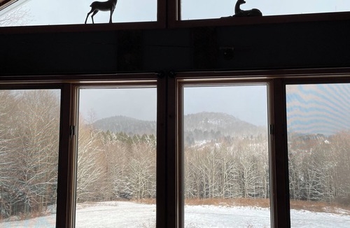 Roxbury Cottage | "Pleasant Brook Cottage" near Roxbury Village - Woods, Streams, Wi-fi, sleeps 6