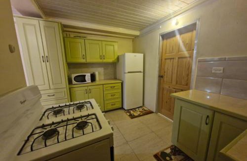 Mt. Pleasant Apartment | Pleasant House