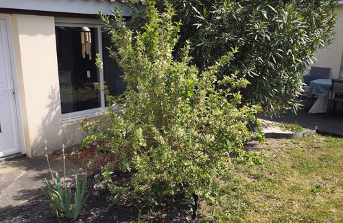 Gradignan Condo | Pleasant, spacious house between land and sea.