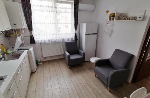 Deva Apartment | Plopilor - Studio 2nd Floor