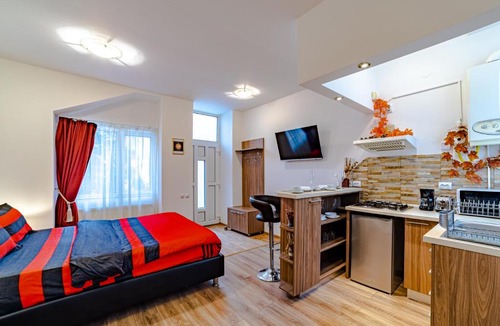 Brasov City Centre Apartment | Poarta Schei Studio