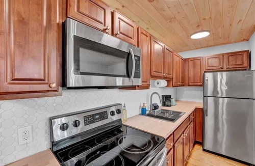 Canadensis Apartment | Pocono Spacious Charmer | Firepits | Pickleball