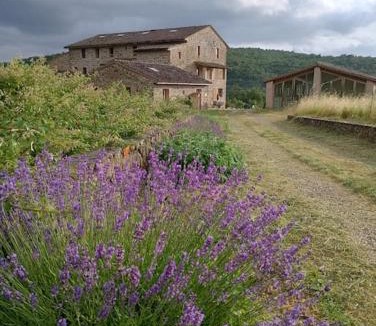 Rapale Apartment | Podere Biricocolo - Il Cortile
