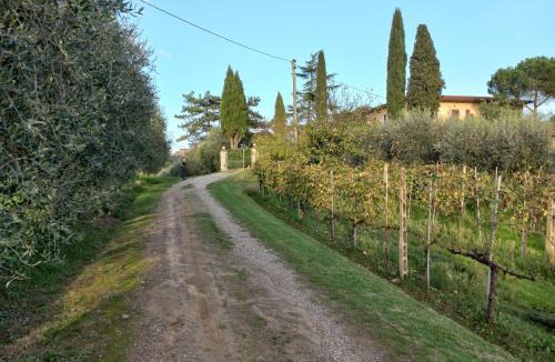 Santarello House | Podere Campanella