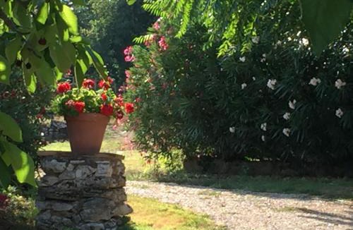 Amelia House | Podere Conte Ràcani
