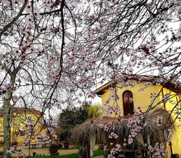Cicogna House | Podere Piandarca