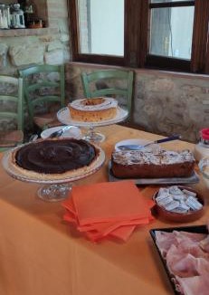 Riparbella Bed & Breakfast | Podere Ripabianca