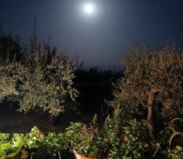 Collemancio Bed & Breakfast | Poggio La Grognola