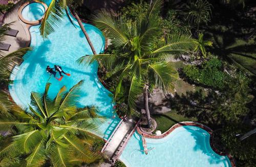 Loon Resort | Polaris Beach and Dive Resort Inc