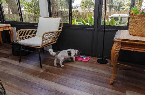 Palm Valley House | Pond-view, accessible, pet friendly home with EV plug close to beach, TPC, Mayo Clinic