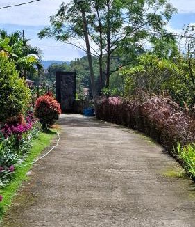 Tuk Tuk Bed & Breakfast | Pondok Ganda
