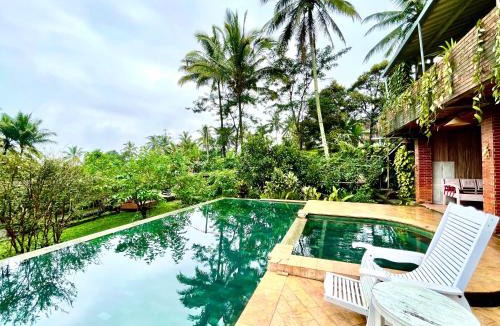 Banyuwangi House | Pondok Is Oke bambo infinity pool