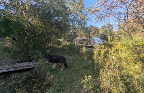 Town of Burns Apartment | *"Pondside Camper Haven: Full Hookups + Hot Water! Near Letchworth State Park