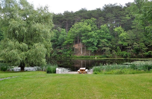 Berkeley Springs House | Pondview Cabin - pond, log cabin, wifi, screen porch, deck, hiking, king bed