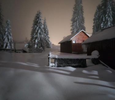 Padis House | Popas Turistic Padis