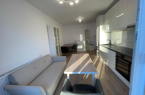 Selimbar Apartment | Popescu Adrian