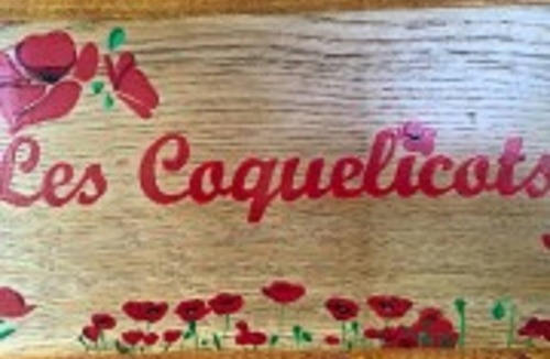 Peyrignac Ski Chalet | Poppies -