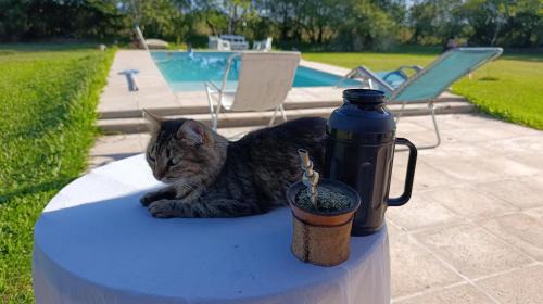Mercedes Bed & Breakfast | posada El descanso
