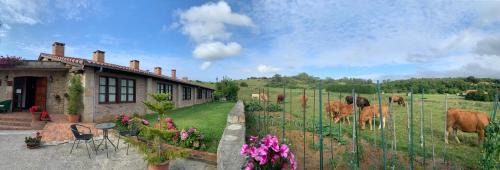 Orena House | Posada La Roblera