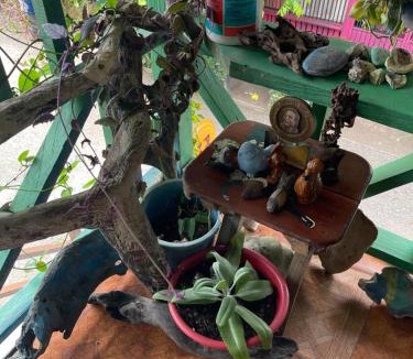 Nuqui House | Posada milagro de Dios