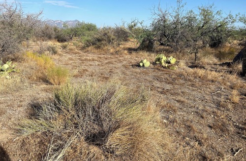 Diamond Bell Ranch RV Rental | Post apocalyptic outpost as a campground in Tucson