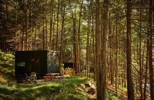 Stanardsville Other | Postcard Cabins Shenandoah, Outdoor Collection by Marriott Bonvoy