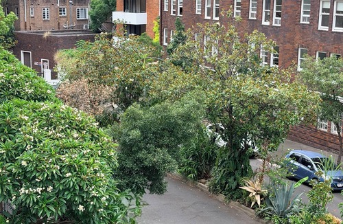 Potts Point Apartment | Potts Point Cozy Studio Near Parks & Water