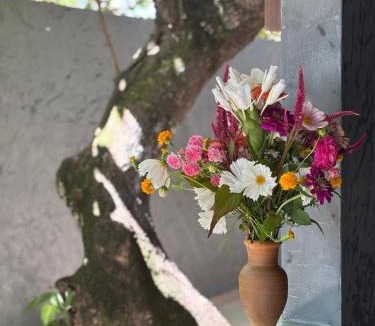 Velha Boipeba Hotel | Pousada Água Salgada