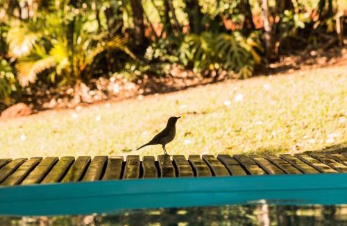 Itanhandu Hotel | Pousada Bonani