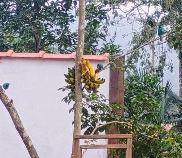 Sertao do Taquari Bed & Breakfast | Pousada cachoeira