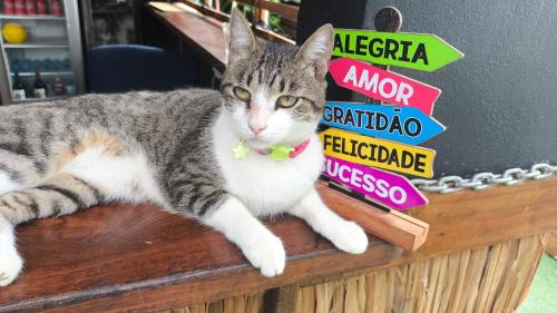 Caraguatatuba Hotel | Pousada Caraguá Poesia na Praia