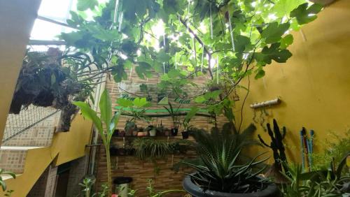 Aparecida Hotel | Pousada Casa Verde