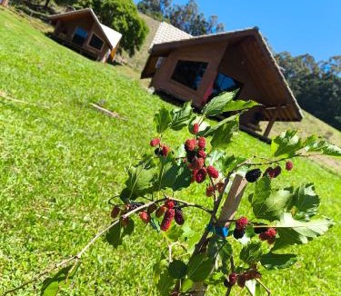 Camanducaia Cabin | Pousada das Castanheiras