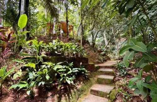 Trindade Hotel | Pousada do Riacho