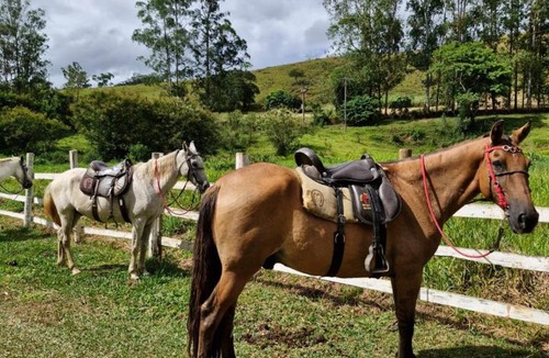 Lima Duarte Hotel | Pousada Fazenda e Pesqueiro Chalé da serra