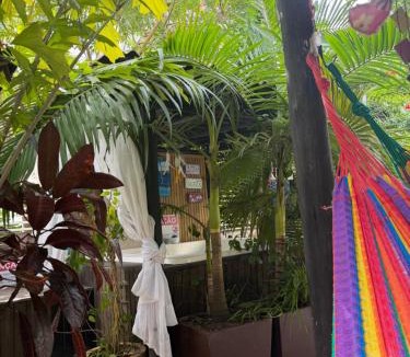 Bombas Hotel | Pousada Floresta