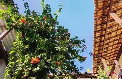 Sitio Hostel | Pousada Laia